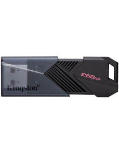 USB FLASH 256G Kingston USB3.2